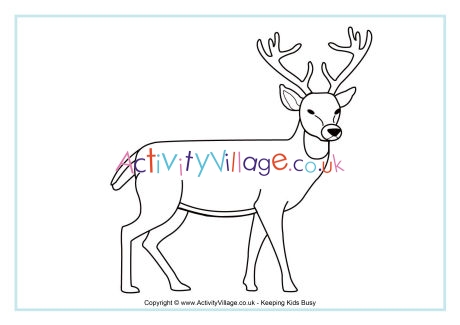 Deer Colouring Page 2