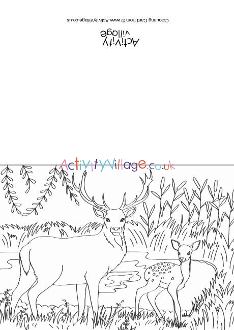 Deer Scene Colouring Card