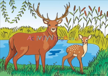 Deer Scene Poster