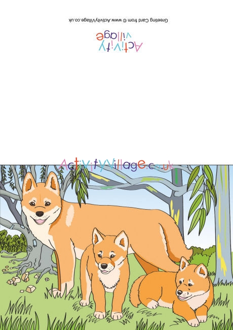 Dingos Scene Card