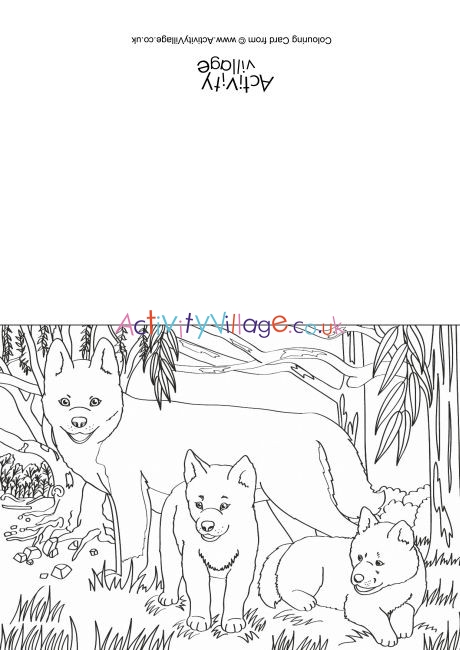 Dingos Scene Colouring Card