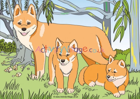 Dingos Scene Poster