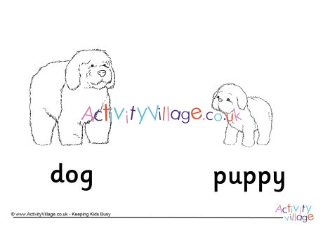 Dog and Puppy Colouring Page
