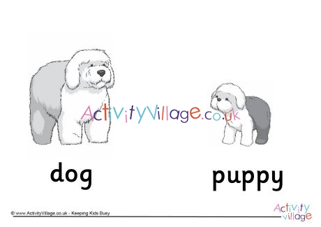Dog and Puppy Poster