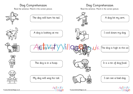 Dog Comprehension Early Readers Phase 3 