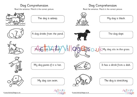 Dog Comprehension Early Readers Phase 4