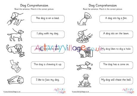 Dog Comprehension Early Readers Phase 5 