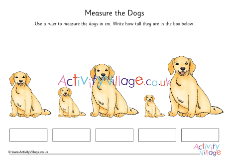 Dog Measuring 