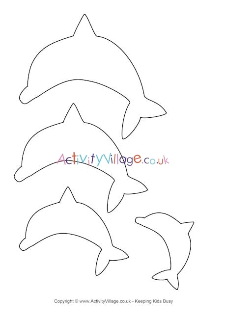 Dolphin template