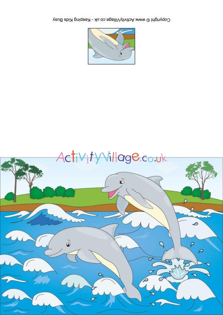 Dolphins card