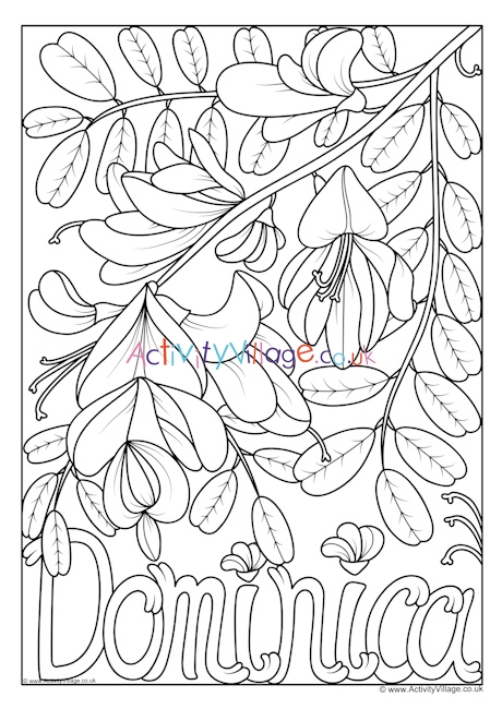 Download Dominica National Flower Colouring Page