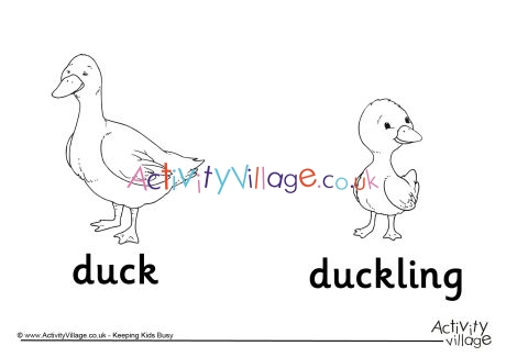 Duck and Duckling Colouring Page