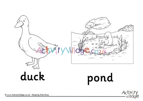 Duck and Pond Colouring Page