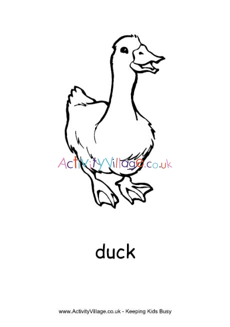 Duck colouring page 2