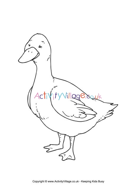 Duck colouring page 3