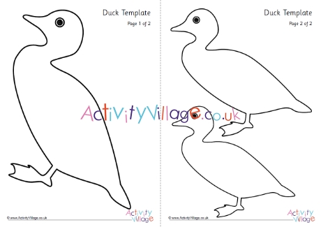 Duck template