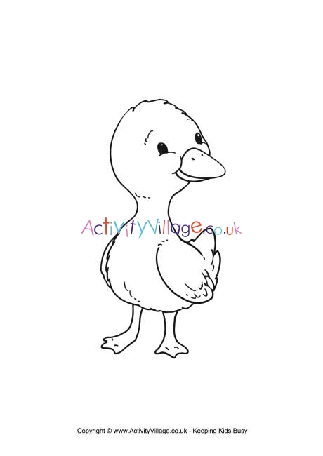 Duckling colouring page