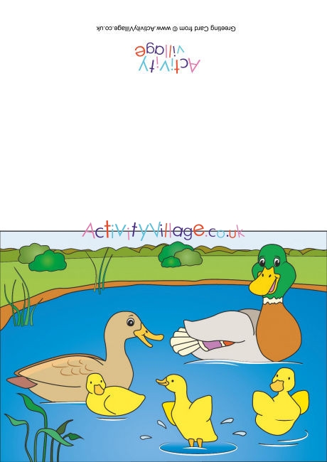 Ducks Scene Card