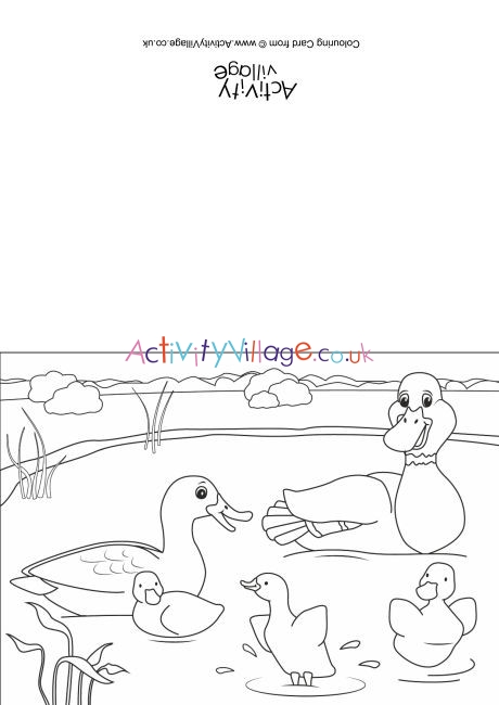 Ducks Scene Colouring Card