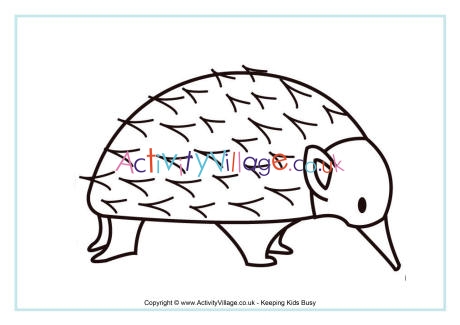 Echidna colouring page 2