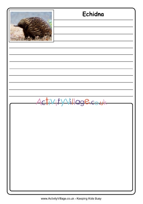 Echidna notebooking page
