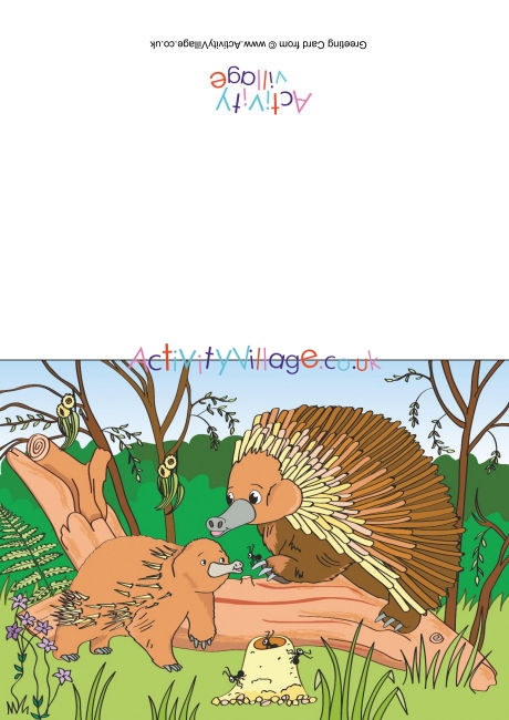 Echidnas Scene Card