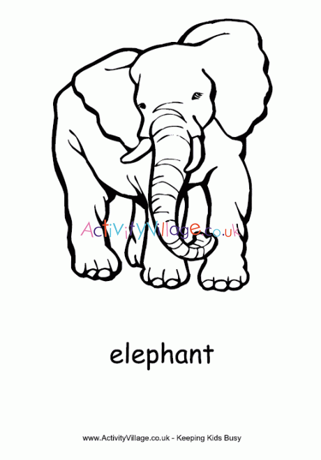 Elephant colouring page 2