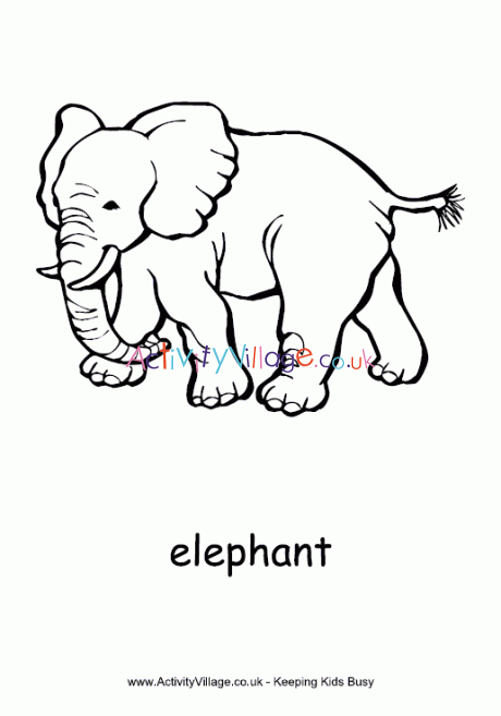 Elephant colouring page 3
