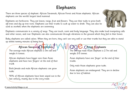 Elephant Fact Sheet