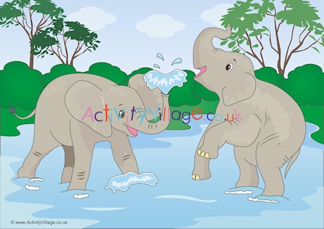 Elephants Scene Poster