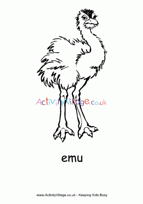 Emu colouring page