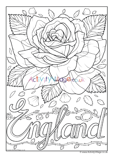England national flower colouring page