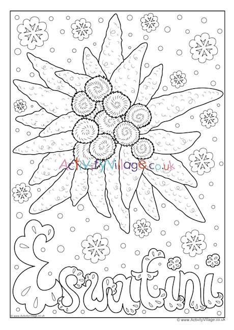 Eswatini national flower colouring page