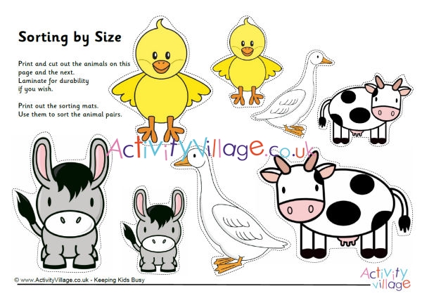 Farm Animal Sorting By Size