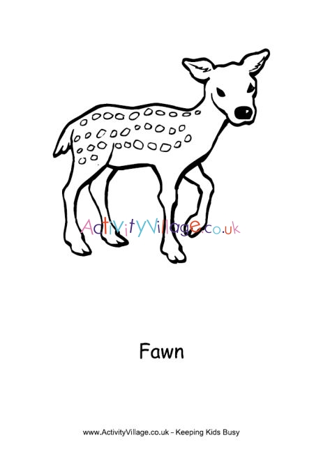 Fawn Colouring Page 2