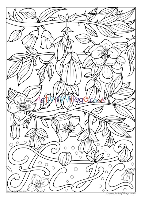 Fiji National Flower Colouring Page