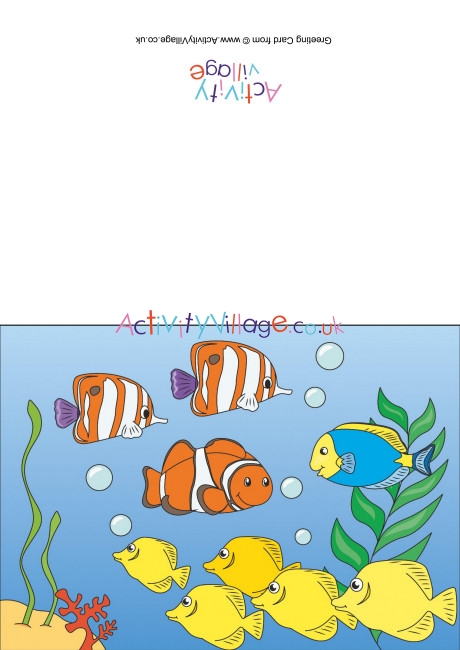 Fish Scene Card