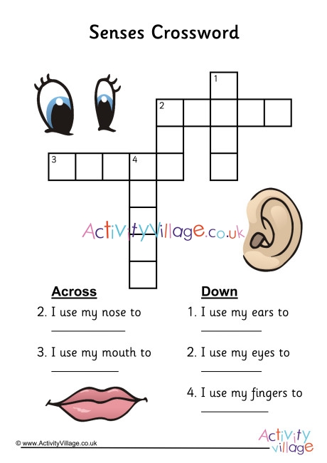 Five Senses Crossword