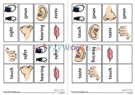 Five Senses Dominoes