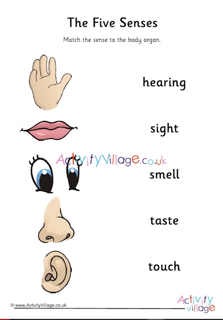 Five senses matching worksheet