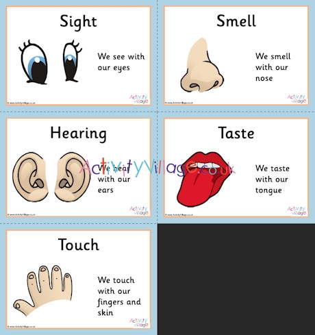 Five senses posters