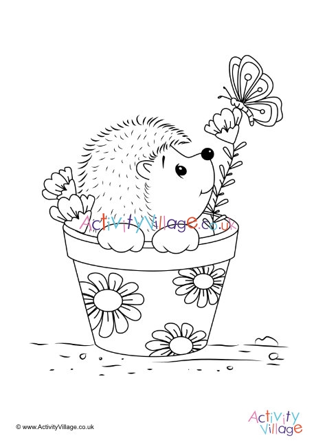 Flowerpot Hedgehog Colouring Page