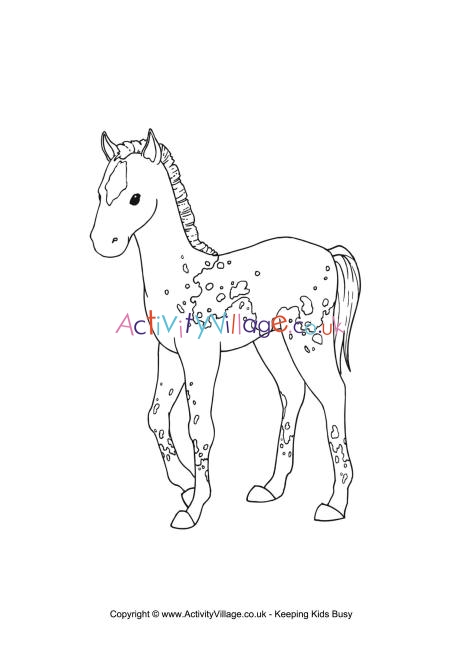 Foal colouring page