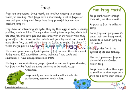Frog Fact Sheet 