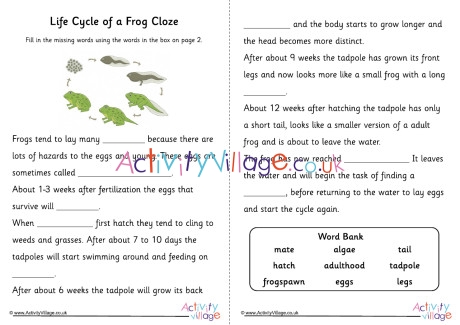 Frog Life Cycle Cloze