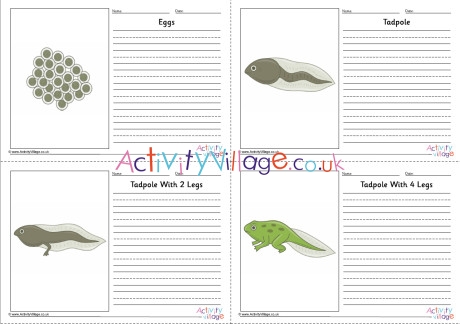 Frog Life Cycle Story Paper Set - Labelled