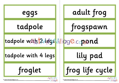 Frog Life Cycle Word Cards