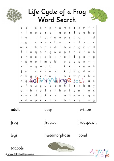 Frog Life Cycle Word Search