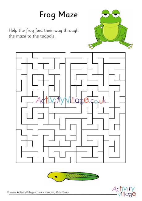 Frog Maze