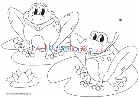 Frogs scene colouring page